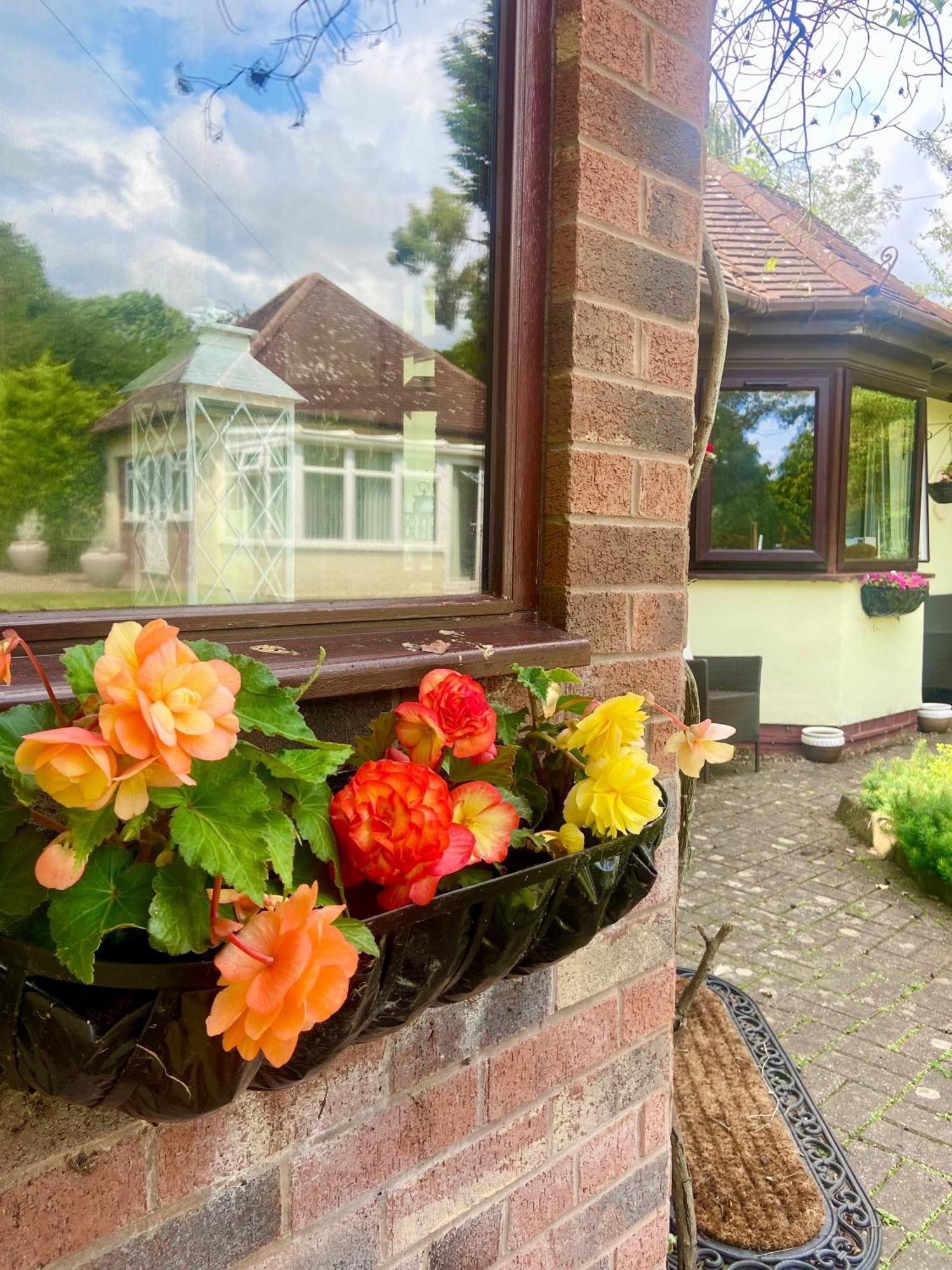 The Cottage On The Common Tenbury Wells Esterno foto